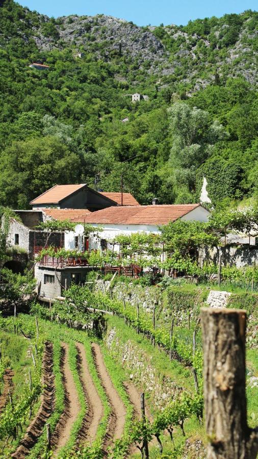 Country House Dajkovic Dupilo Exterior photo